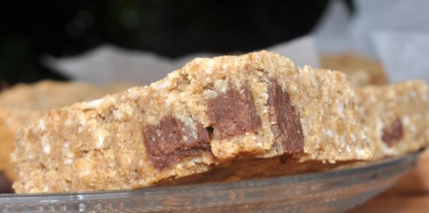 Chocolate Chunk Coconut Cookie Slice