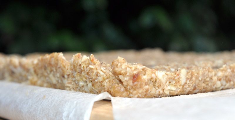 No Bake Date and Brazil Nut Energy Bars