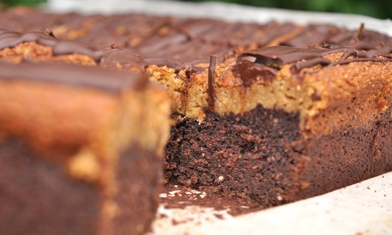 Rich-Chocolate-Pumpkin-Pie-Brownies-0003