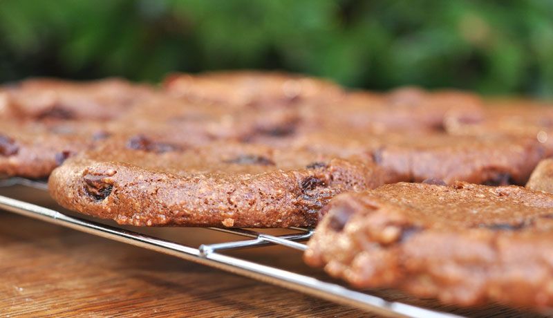 Chocolate-Hazelnut-and-Raisin-Cookies-0002