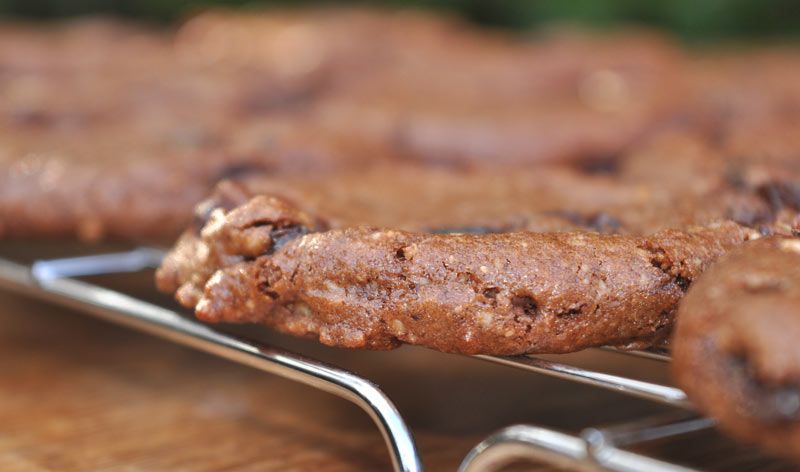 Chocolate-Hazelnut-and-Raisin-Cookies-0005