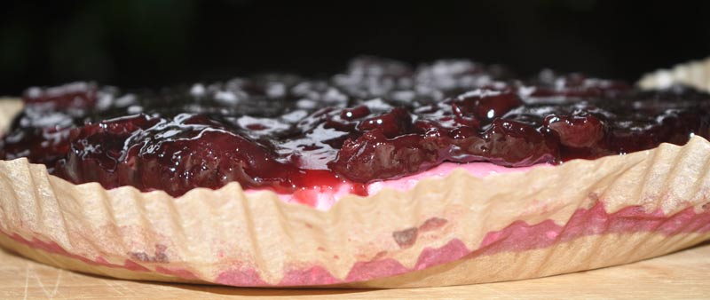 Lemon Cherry Cheesecake