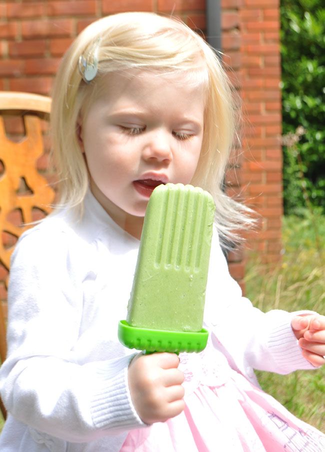 Lemon-and-Lime-Smoothie-Lolly-Sophia