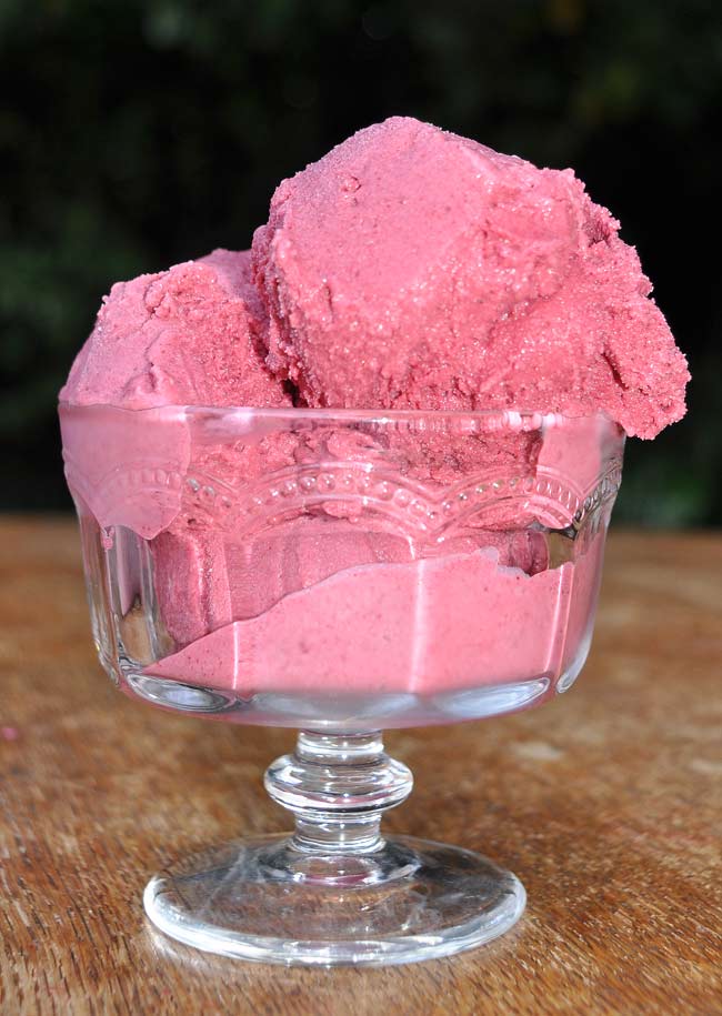 Mixed Summer Berry Ice Cream